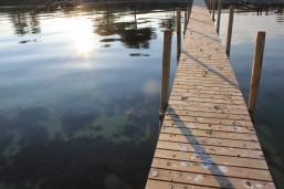 Refleksioner